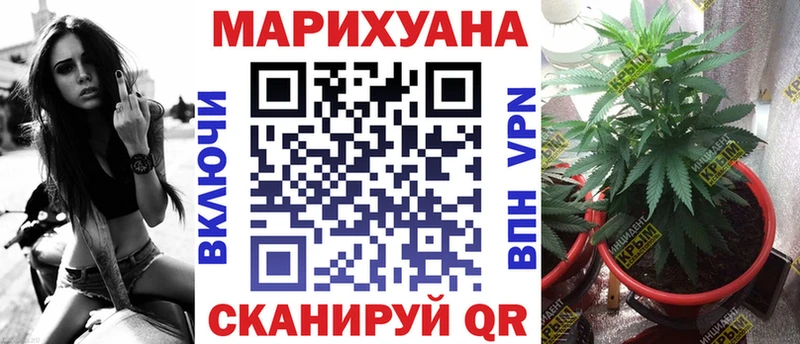 Где купить наркотики Советск omg сайт  АМФ  Канабис  ГАШ  Alpha-PVP  COCAIN 